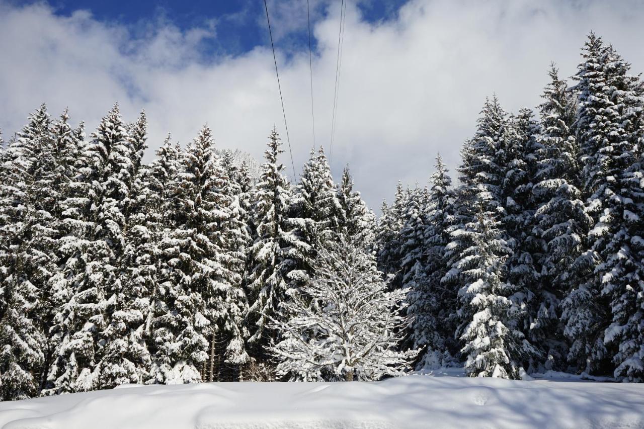 Naturhotel Alpenblick Maurach  Bagian luar foto