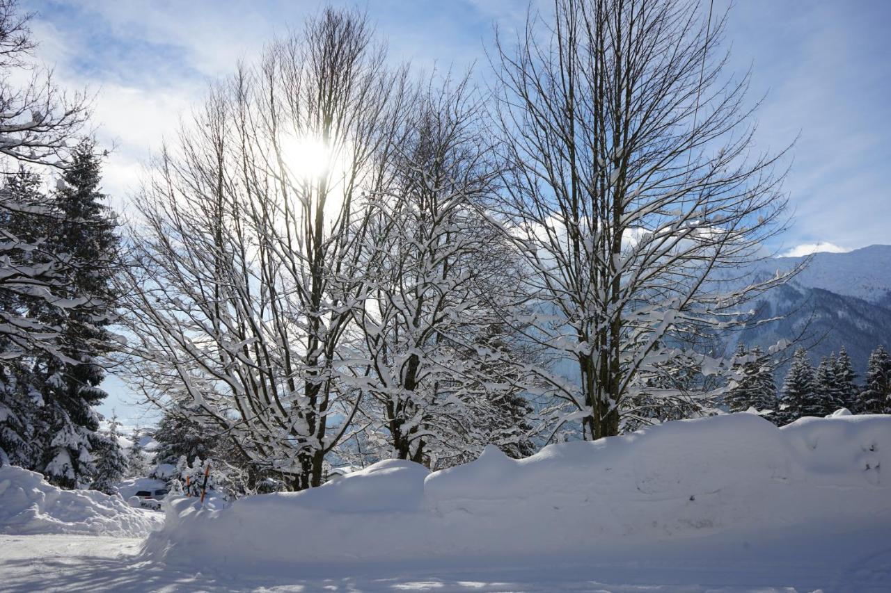 Naturhotel Alpenblick Maurach  Bagian luar foto